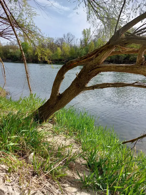 Image with round corners